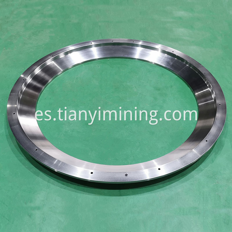 Bearing Ring 2 Jpg